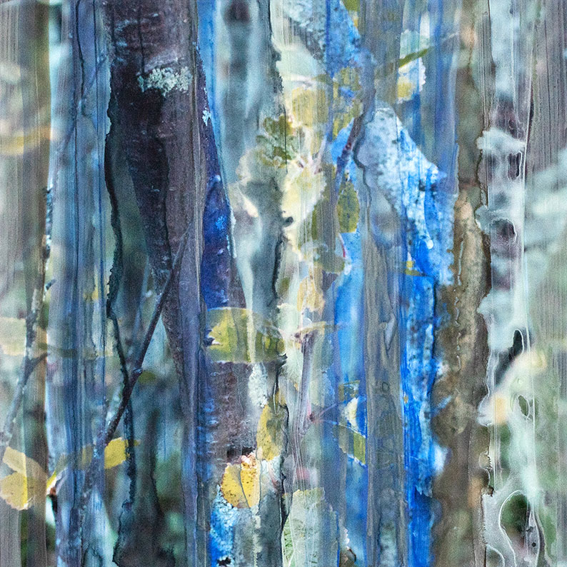 Renate Schuetz